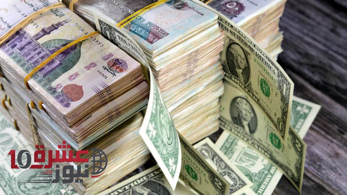 سعر الدولار مقابل الجنيه المصري اليوم داخل كل البنوك