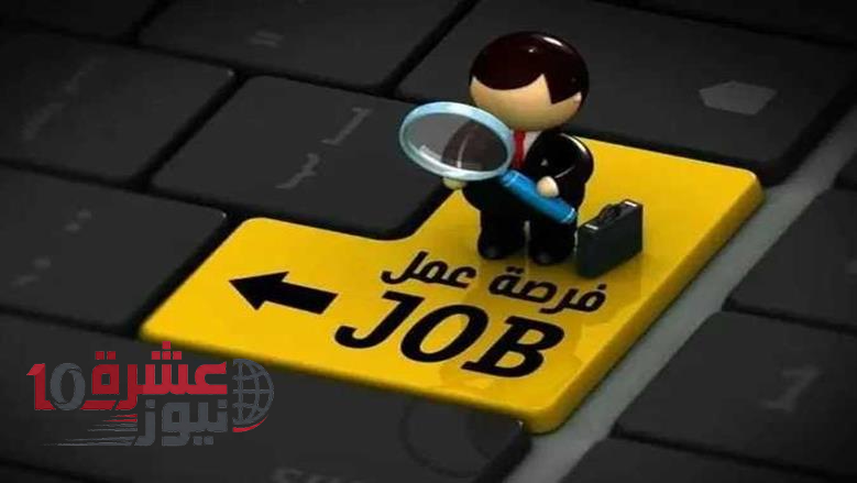 وظائف وزارة العمل الجديدة.. 1200 فرصة عمل جديدة براتب 9000 جنيه