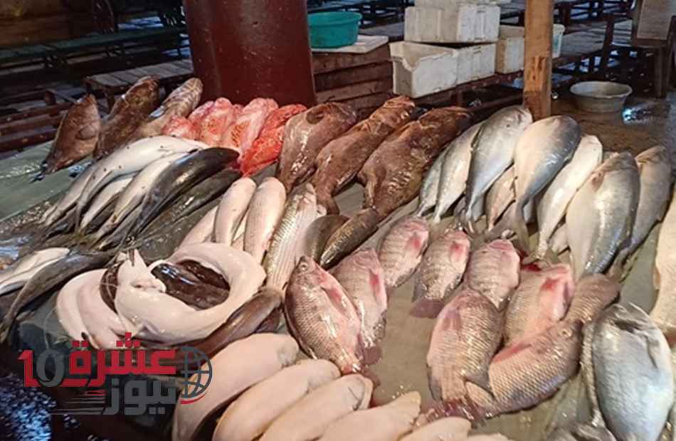 أسعار السمك البلطي والكابوريا والمكرونة السويسي اليوم